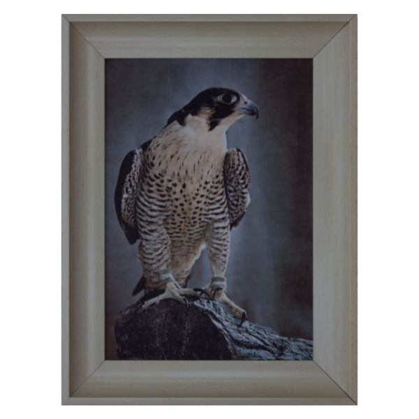Persian Velvet Art Wall Painting of an Eagle